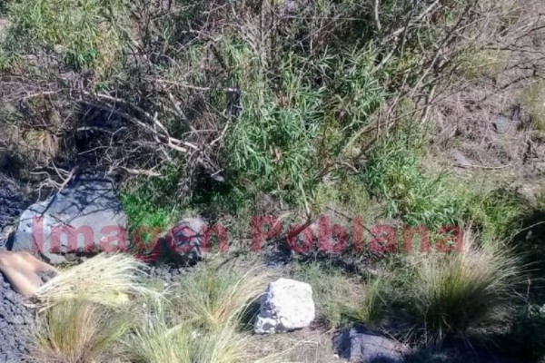 Hallan cadáver semidesnudo en zona arqueológica