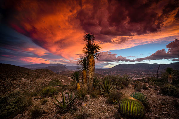 Valle de Tehuacán-Cuicatlán, candidato a patrimonio mundial
