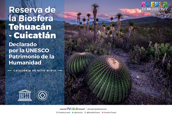 Biosfera de Tehuacán-Cuicatlán, declarada Patrimonio de la Humanidad
