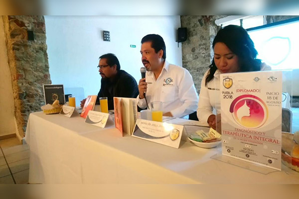 Con poemario, buscan sensibilizar sobre la violencia contra las mujeres