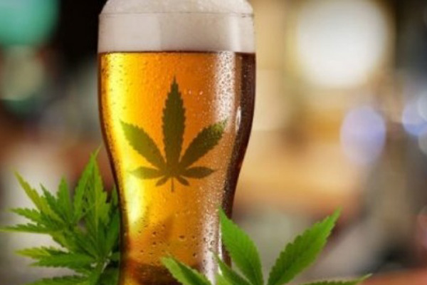 Fabrican la primera cerveza de marihuana