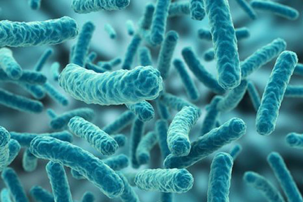 Bacterias intestinales podrían cambiar el tipo de sangre de una persona