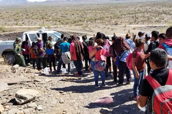 Patrulla Fronteriza detiene a 264 inmigrantes en desierto de Arizona