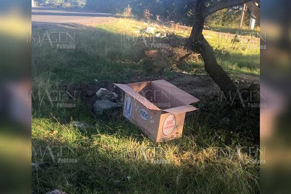 Abandonan a su suerte a recién nacida en una caja de huevo