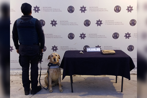 Perro policía detectó paquete de droga en la CAPU