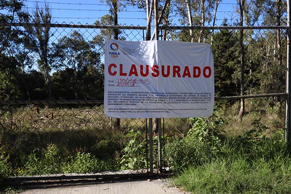 Vivero Santa Cruz, víctima de un ecocidio solapado