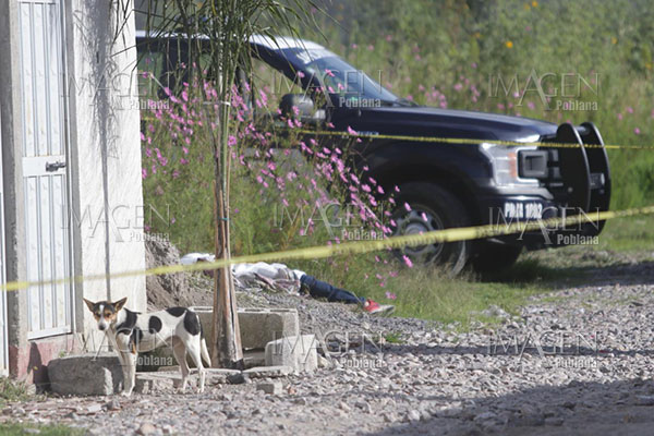 Hallan el cadáver de un joven en plena vía pública