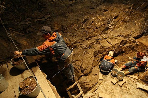 Paleontólogos hallan restos de elefantes y rinocerontes prehistóricos en Rusia