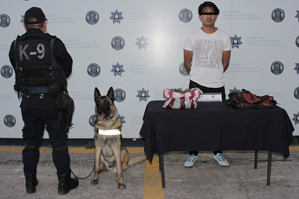Lo sorprendieron con más de 700 gramos de marihuana en la CAPU