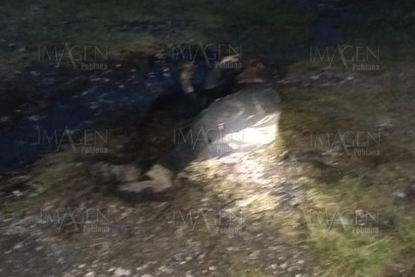 Asesinan a encargado de corralón y lo calcinan dentro del predio