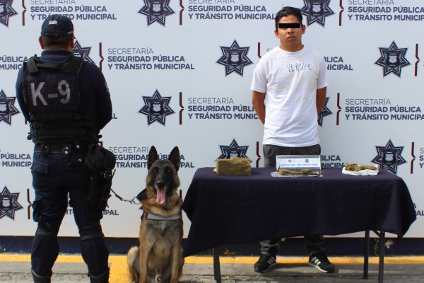 Lo detuvieron en la CAPU con 2.5 kilos de marihuana