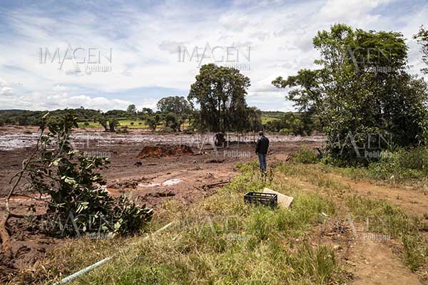 Ya son 110 muertos por ruptura de presa en Brasil