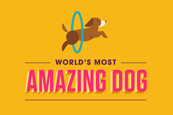 Perro mexicano competirá en “World´s most amazing dog”