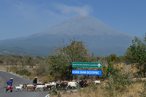 Registran débil emisión del Popocatépetl; sigue Amarillo fase 3