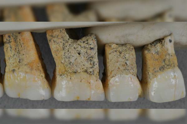 Descubren una nueva especie humana en Filipinas, el Homo luzonensis