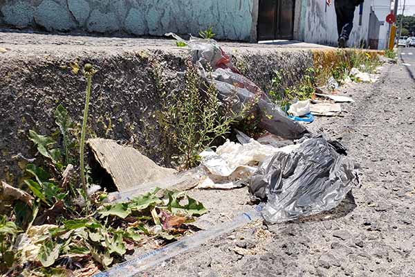 Urgente y necesaria la prohibición de bolsas de plástico y popotes