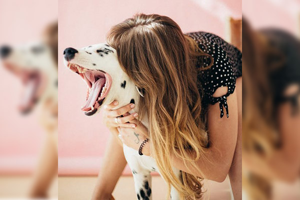 5 consejos para ser una dueña de perros responsable
