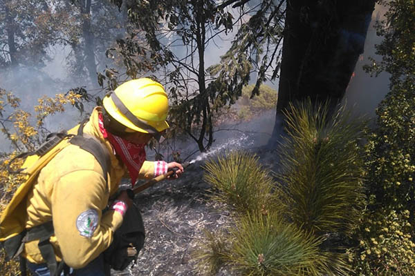 Puebla, en los primeros lugares a nivel nacional en incendios forestales