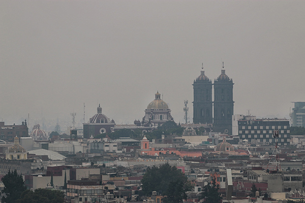 ¿Plantar árboles y no tener hijos limpian el ambiente?