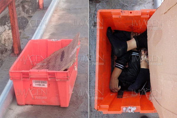 Hallan partes de un cadáver en una caja en Cañada Morelos