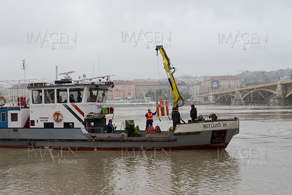 Agencia turística coreana demandará al crucero que chocó con barco en Budapest