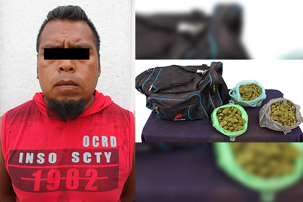Ya se iba de viaje con 2.5 kilos de marihuana