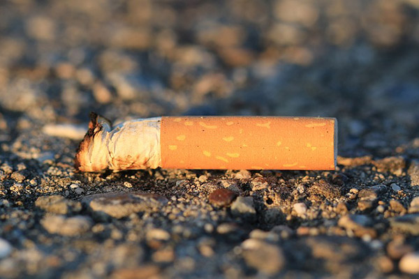 Esto es lo que pasa cuando tiras la colilla de tu cigarro