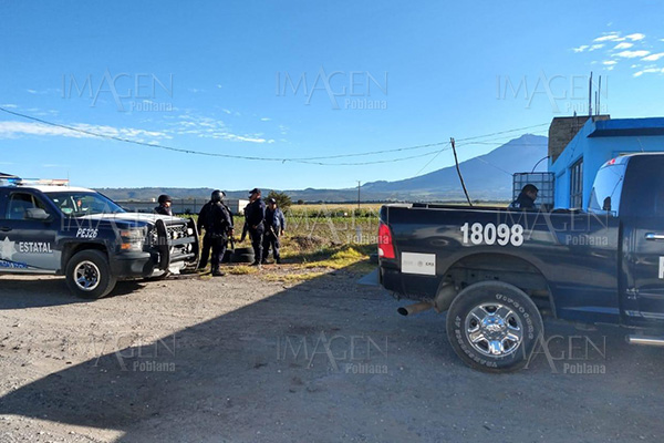 Asaltante es abatido por Policía Federal tras enfrentamiento
