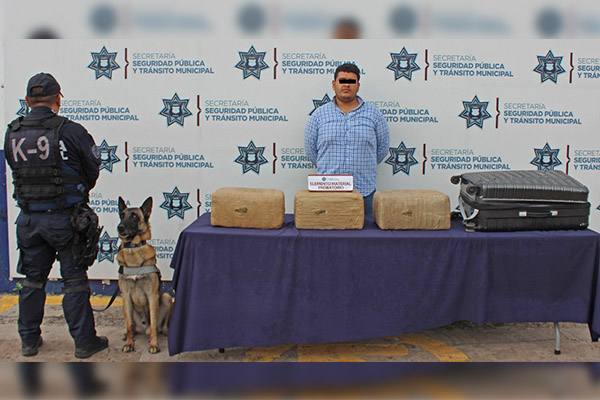 “Viajero” cargaba en su maleta 21 kilogramos de marihuana