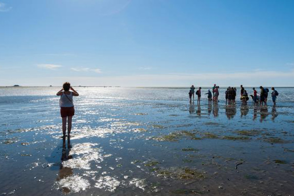 10,000 personas planean “despedirse” del Reino Unido en costa del mar del Norte