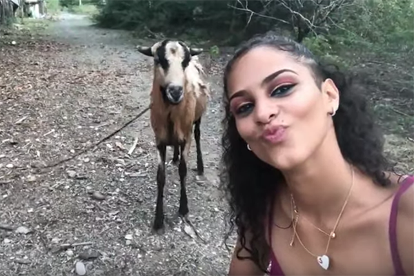 Selección natural: joven intenta hacerse una selfi con una cabra y esto es lo que pasa