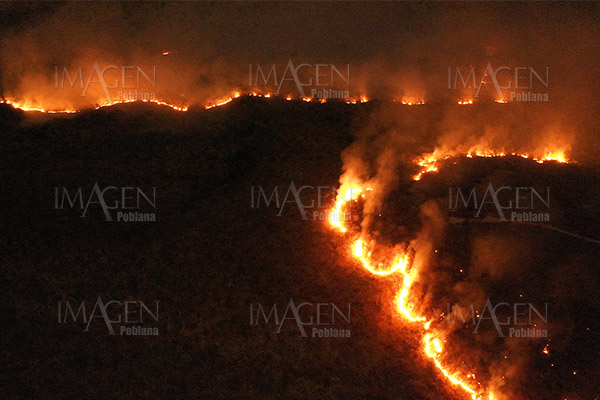 Activistas de todo el mundo protestan por incendios en la Amazonía