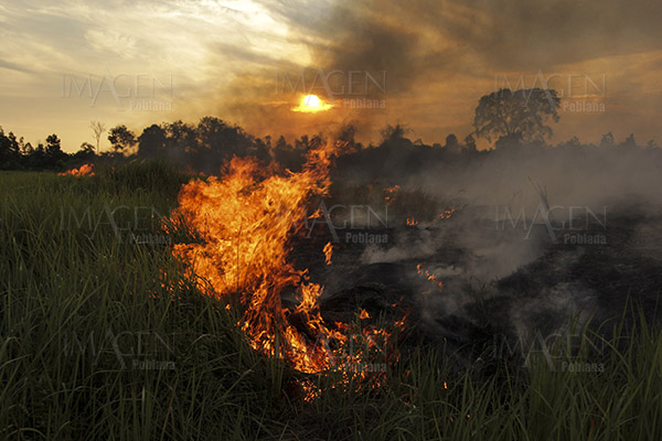 Aumenta en más de 1,500 el número de incendios en Brasil en dos días