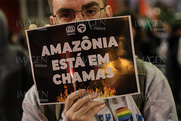 Gobierno brasileño sabía que se organizaban incendios intencionales en la Amazonía