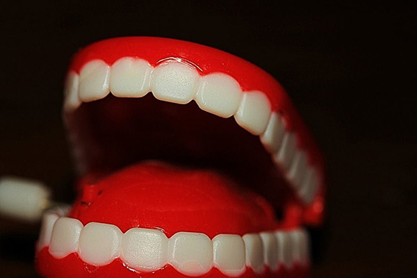Una perra le roba la dentadura a una abuelita… y esto es lo que pasa