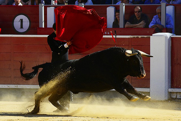 Un toro salta el burladero y provoca heridas a una veintena de personas en España