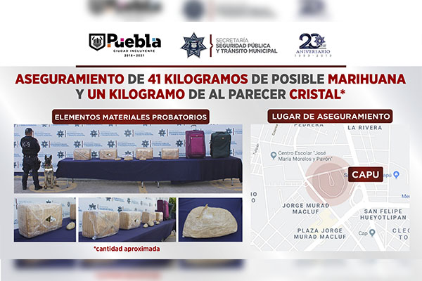 Unidad canina aseguró 42 kilogramos de droga