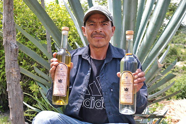 En mezcales, Puebla le gana a Oaxaca: maestro mezcalero