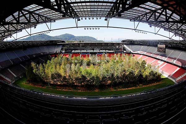 Aparecen 300 árboles en la cancha de un estadio