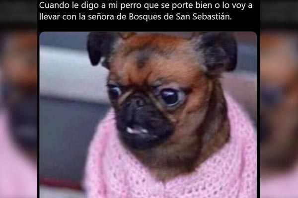 La "Mataperros" se vuelve carne de memes