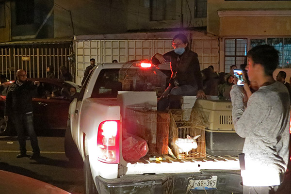 Necesario tipificar el maltrato animal en Puebla: Claudia Rivera
