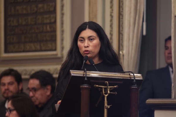 Presentan Iniciativas para castigar maltrato o crueldad en contra de animales