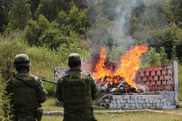 Incineran Sedena y FGR 326.41 kilogramos de enervantes