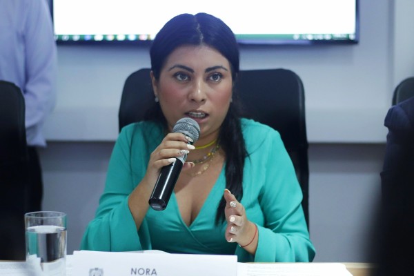 Morena, sin invitación formal a Foro de Partidos Políticos: diputada