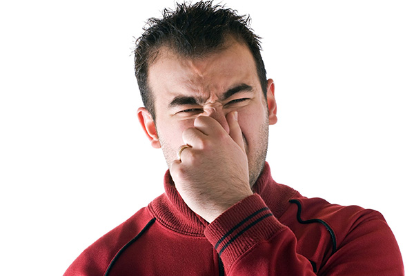 ¿Cómo podemos evitar las incómodas flatulencias?