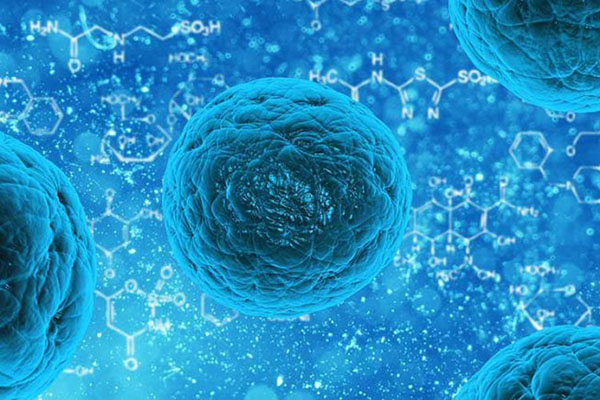 Células madre podrían contener mutaciones de cáncer: Estudio