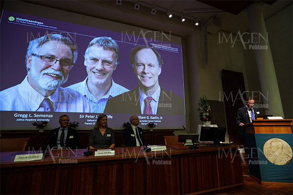 Tres científicos comparten el Premio Nobel de Fisiología o Medicina 2019