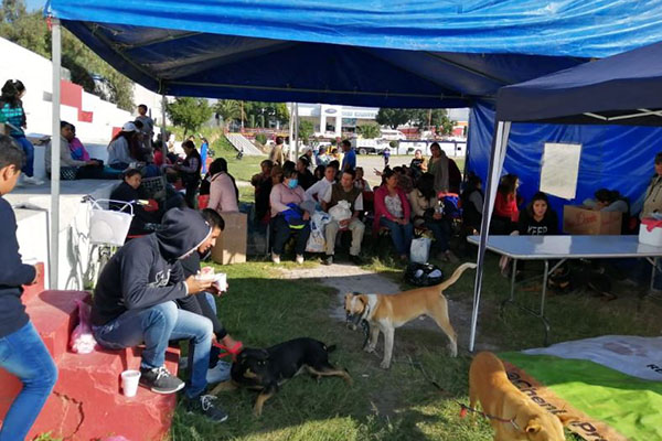 Con éxito, campañas de esterilización y vacunación de mascotas en Texmelucan