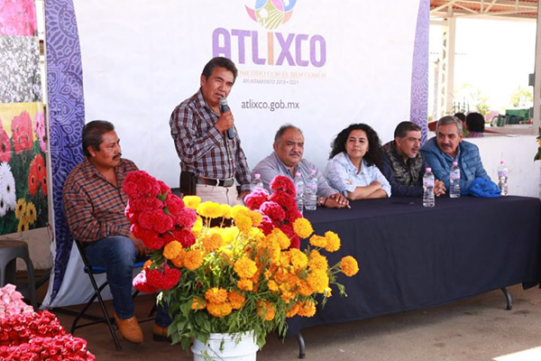 Productores y Gobierno de Atlixco anuncian venta de flor de temporada