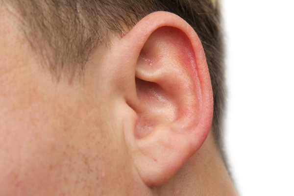 Médicos crean una oreja artificial gracias a la impresión 3D